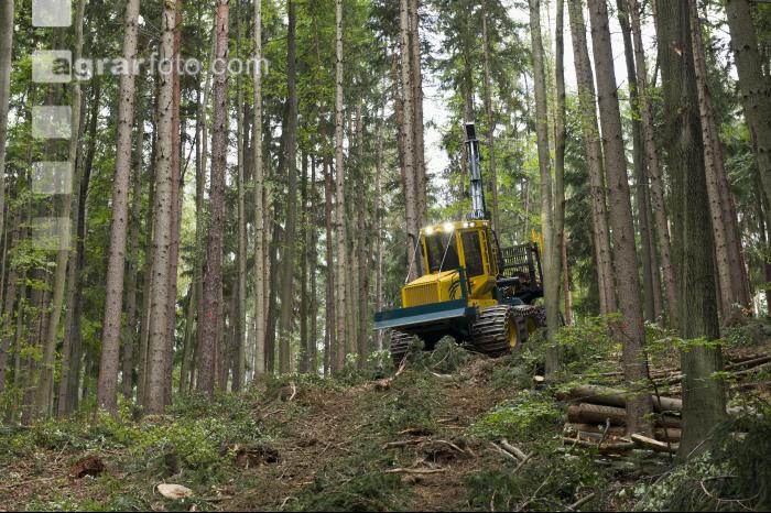 Forwarder 54