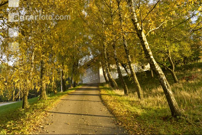 Herbststimmung 4