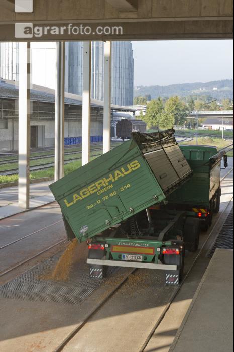 Mais Ablieferung 23
