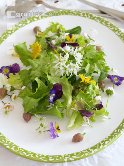 Wildkräutersalat mit Blüten 1