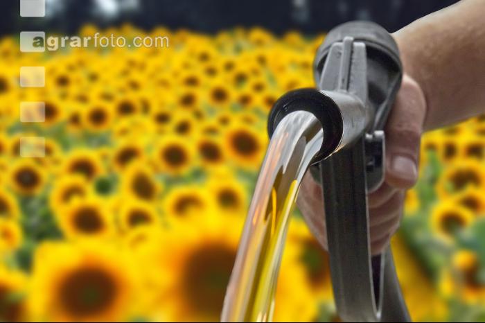 Sonnenblumenöl tanken