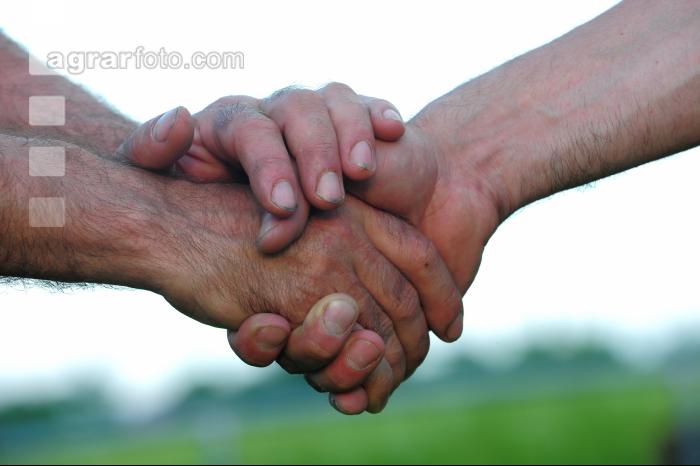 Handschlag 2