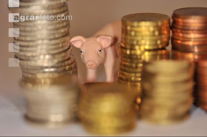Finanzen Schweine 34