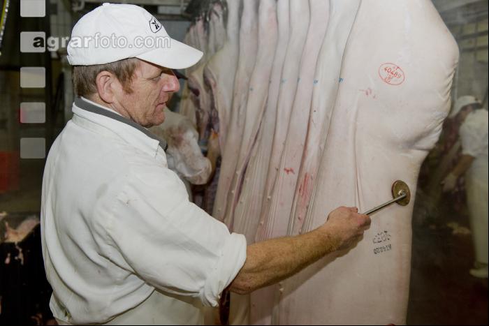 Fleisch Freigabe 1