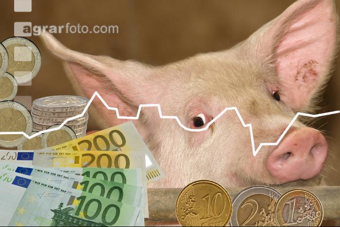 Mastschweine Preis 3