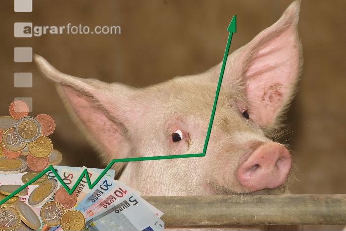 Mastschweine Preis 2