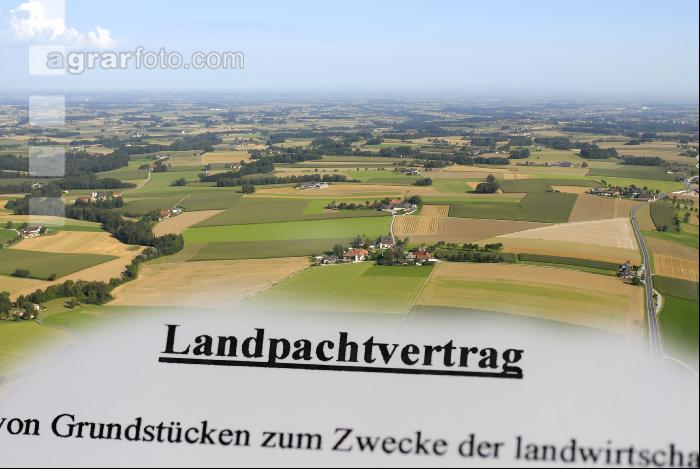 Pachtvertrag 3