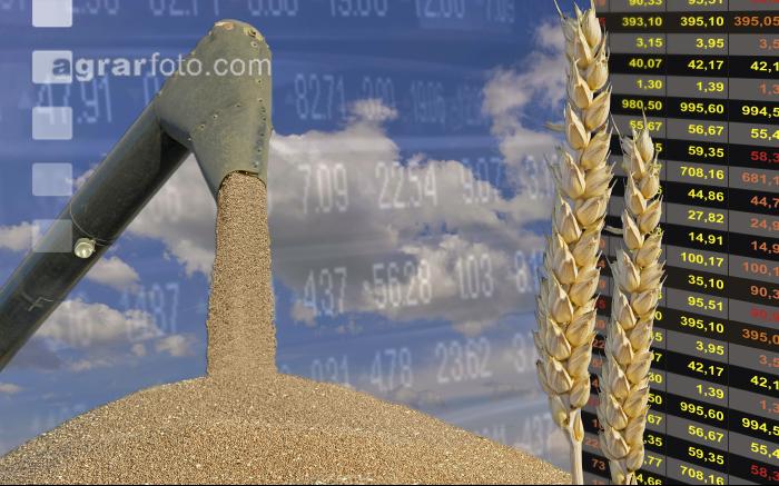 Börse
