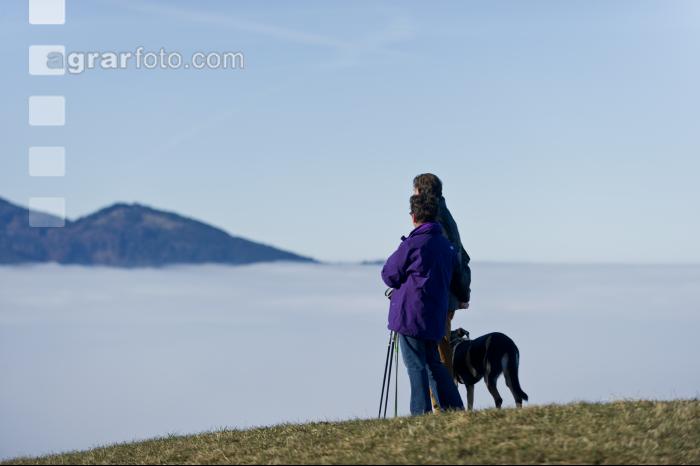 Nebel im Tal 17