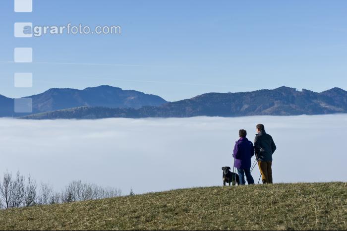Nebel im Tal 18