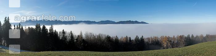 Blick vom Grillparz