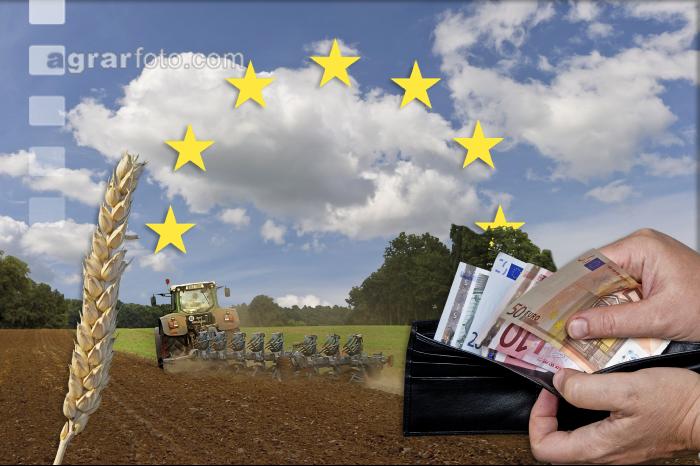Agrargelder EU 8