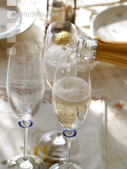 Sekt 1