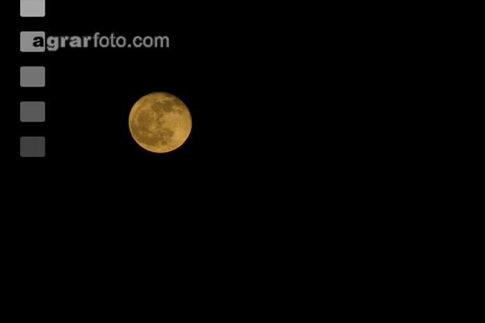 Mond im Jänner 2