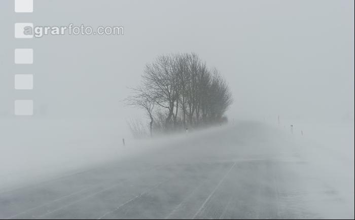 Schneeverwehung 1