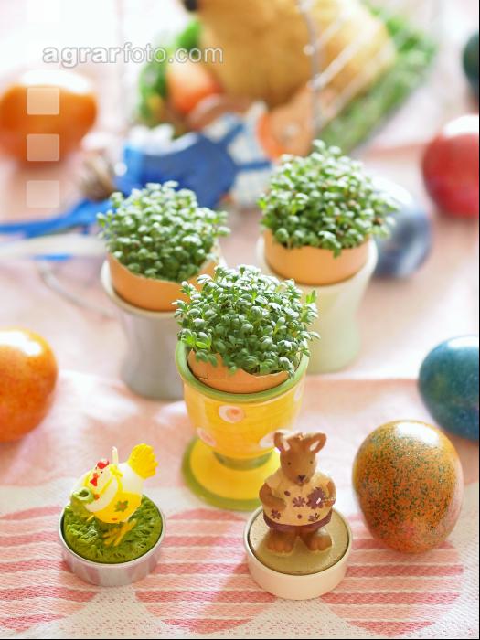 Osterschmuck 5