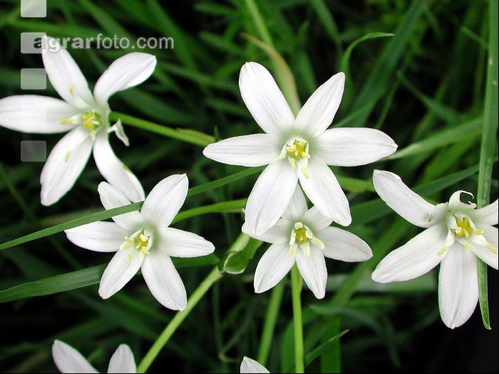 Frühling