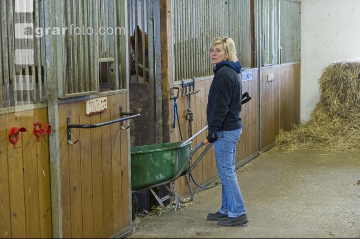 Pferdestall ausmisten 1