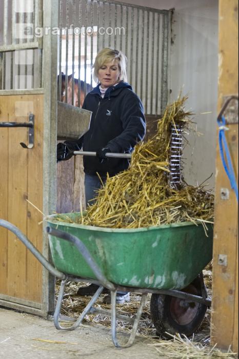 Pferdestall ausmisten 2