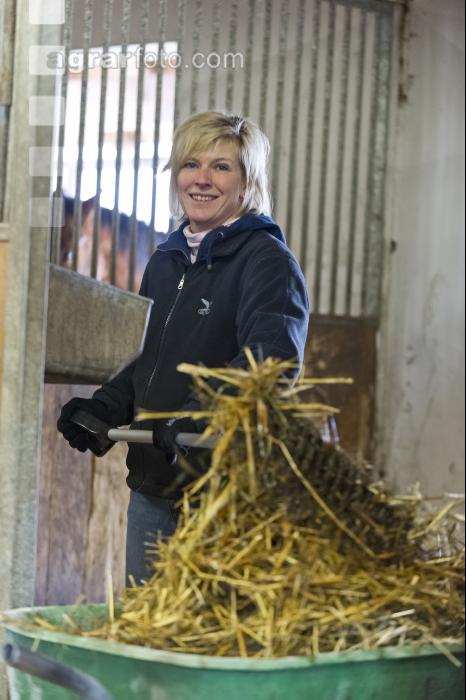 Pferdestall ausmisten 3