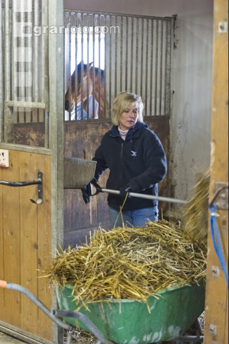 Pferdestall ausmisten 4