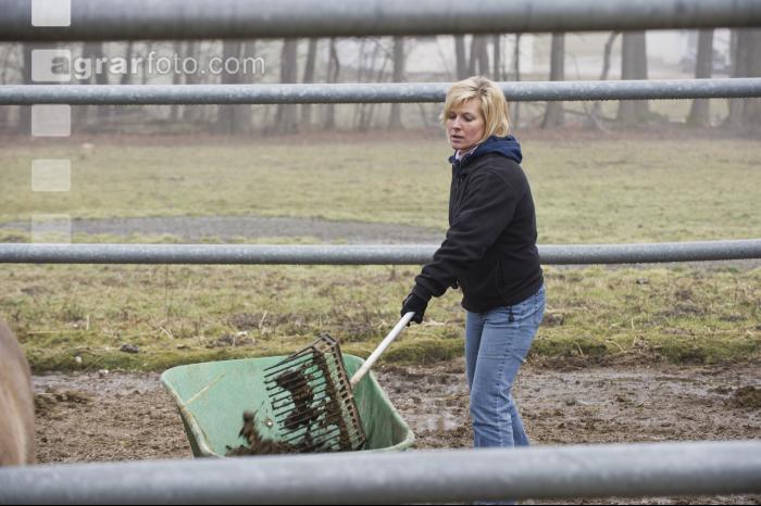 Pferdestall ausmisten 8