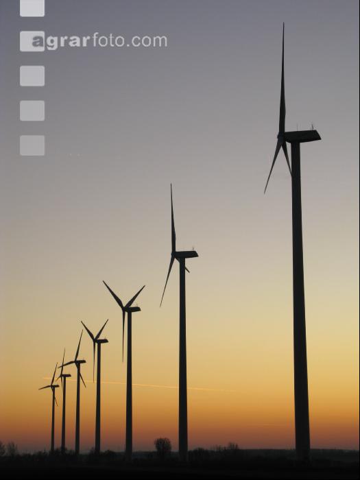 Windrad 24