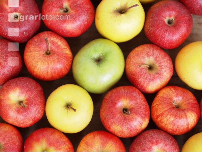 Apfel 9