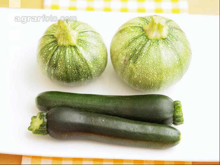Zucchini Arten 1