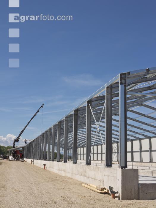 Hennenstallbau 10