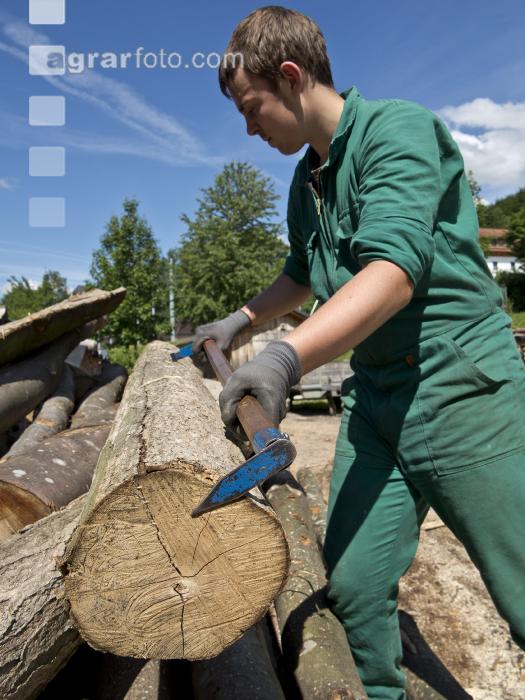 Holz messen 1
