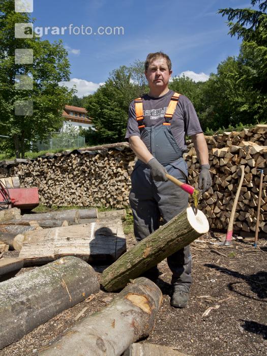 Brennholz machen 5