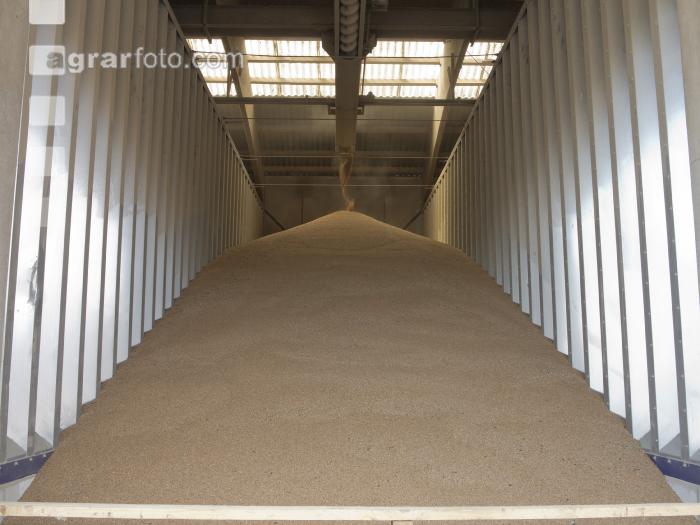 Getreide Flachlager 2
