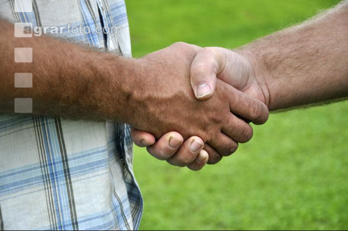 Handschlag 7
