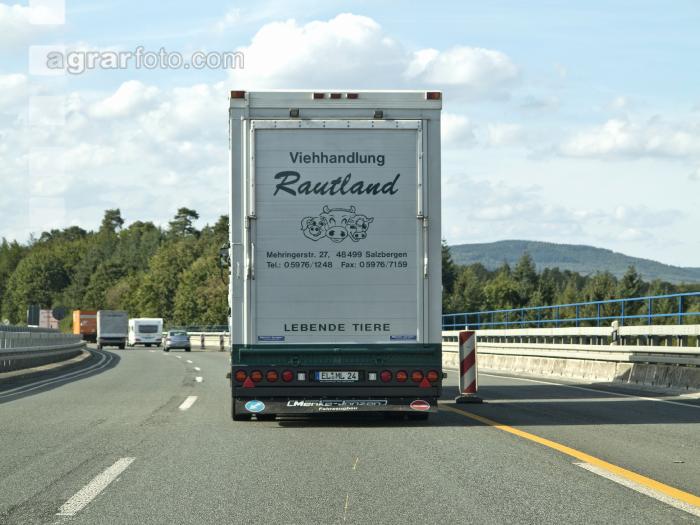 Tiertransporte 17