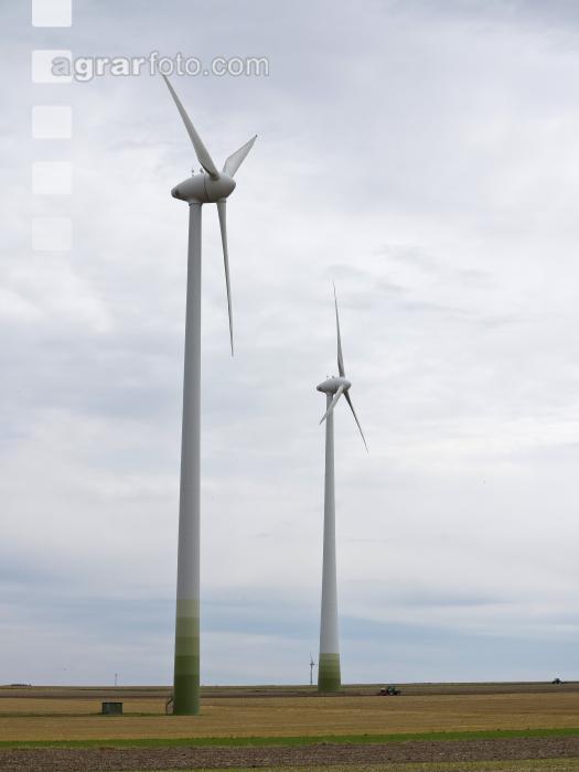 Windrad 31