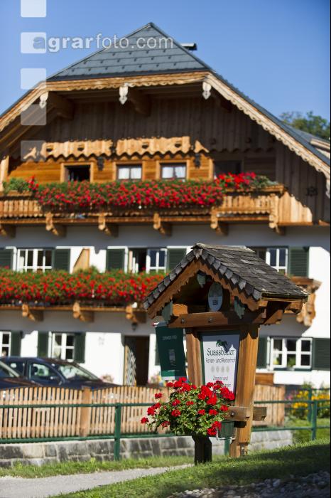 Urlaub am Reiterhof 2