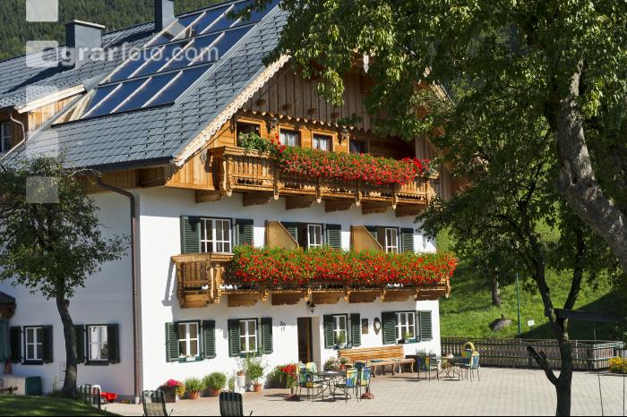 Urlaub am Reiterhof 18