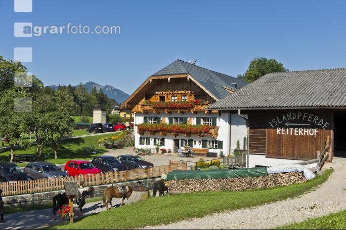 Urlaub am Reiterhof 19