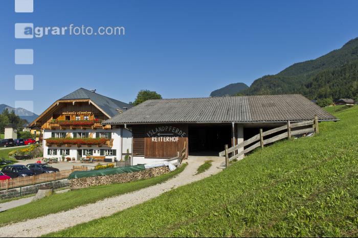 Urlaub am Reiterhof 20