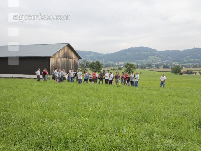 Grünland Versuchsanlage 1
