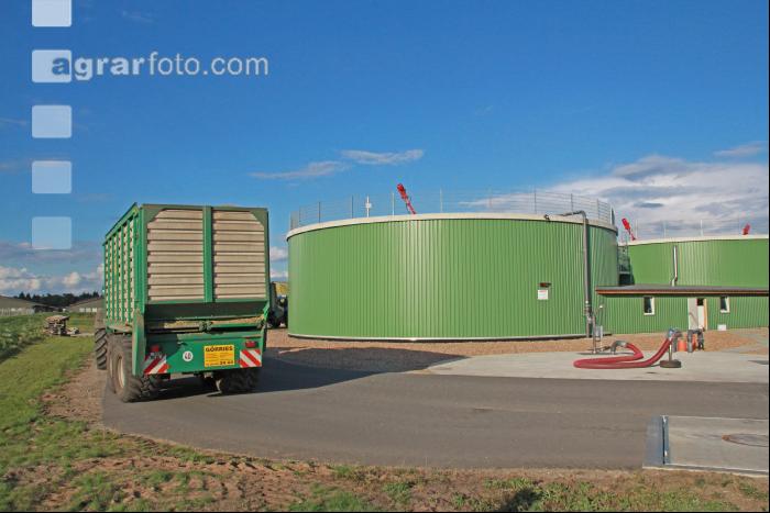 Maisernte Silage J 25