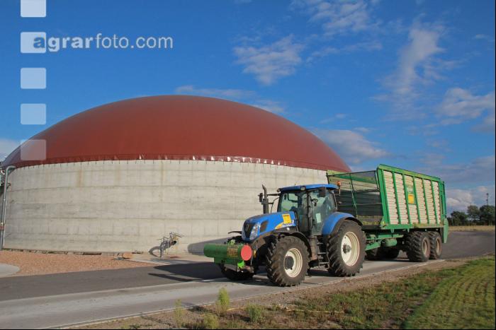 Maisernte Silage J 24