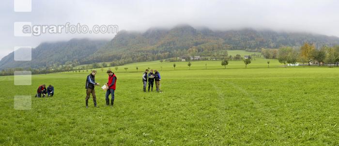 Grünland Bodenprobe 1