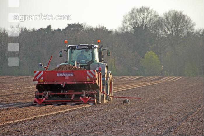 Kartoffeln legen J 13