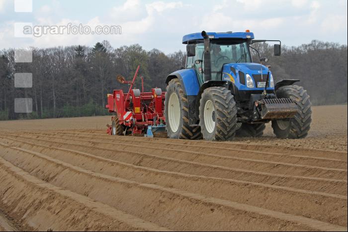 Kartoffeln legen J 6