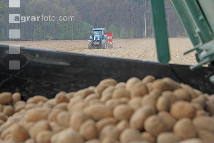 Kartoffeln legen J 3