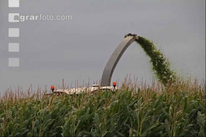 Maisernte Silage J 10