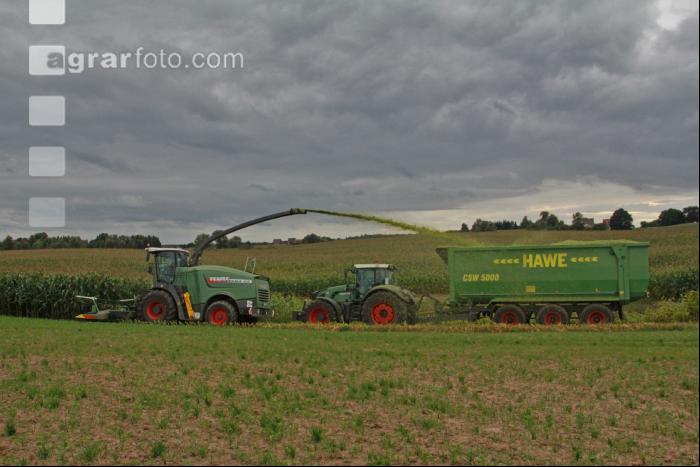 Maisernte Silage J 9