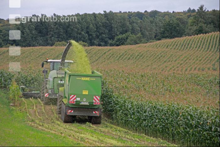 Maisernte Silage J 8